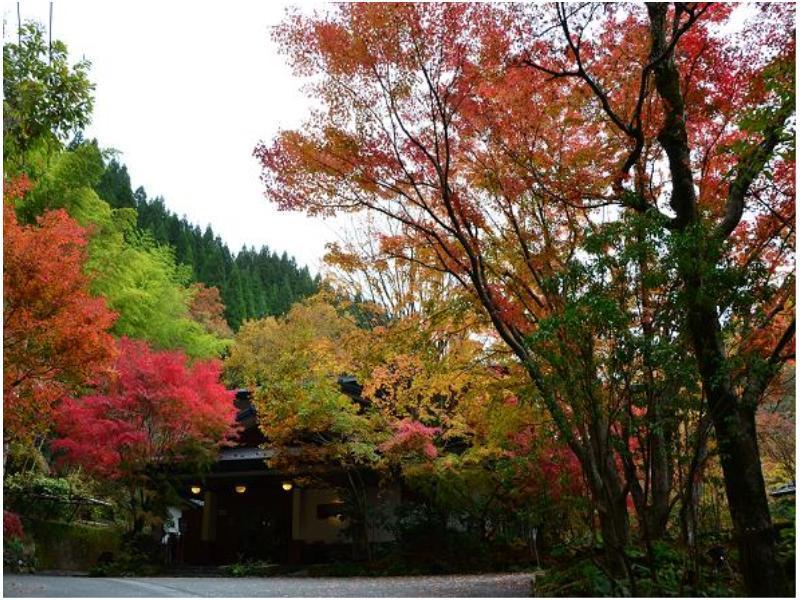 旅館 奥の湯 南小国町 エクステリア 写真